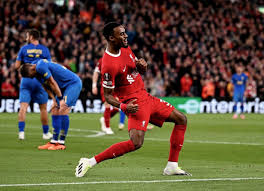 「フェンベルク・ストライフ」の画像検索結果