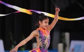 Image result for York University Gymnastics Club