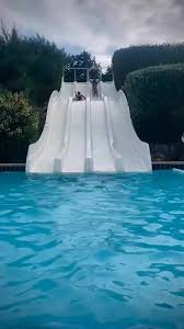 Image result for Selby Tiger Sharks Swimming Club