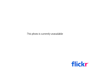 http://static.flickr.com/171/471873249_d4ea22ce2f.jpg
