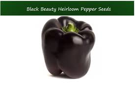 Afbeeldingsresultaat voor chocolate beauty sweet pepper