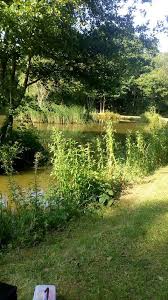 Image result for Warlingham & District Anglers` Society