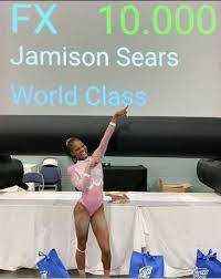 Image result for Newport Gymnastics Club