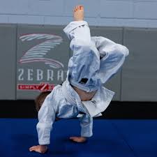 Image result for Anfield Youth Activity Centre Judo Club