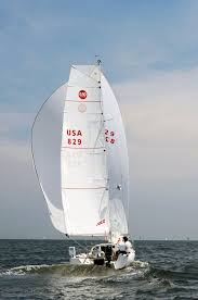 Image result for Pogo minitransat