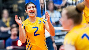 Image result for vallorbe tehron