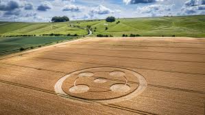 Image result for crop circles