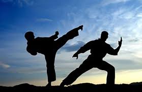 Image result for Association Of Sport Martial Arts