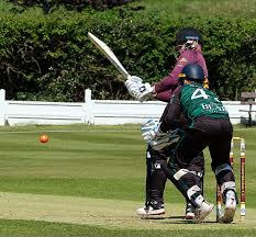 Image result for Pontarddulais Cricket Club