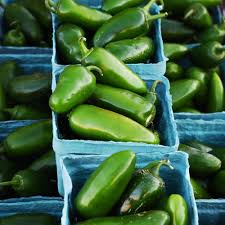 Afbeeldingsresultaat voor jalapeno early hot pepper
