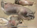 Montauk Monster' Has Hamptons in a Tizzy | Fox News