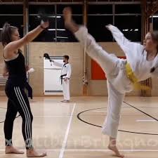Image result for Excalibur Martial Arts