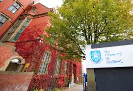 Image result for University Of Sheffield