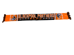 Image result for Blackpool Panthers