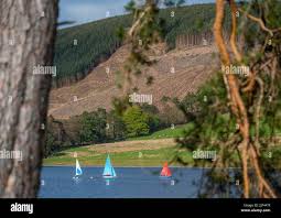 Image result for St Mary's Loch Sailing Club