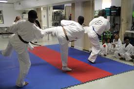 Image result for Hed Tkd (Dorking Tae Kwon-Do)