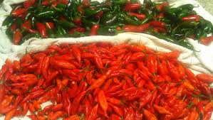 Afbeeldingsresultaat voor paper lantern hot pepper