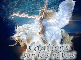http://t0.gstatic.com/images?q=tbn:ANd9GcSQDRwD2IT3X1F4yoy91uaO7fCqLVVU5t3QhwByTBBr4MjUm4xW