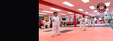 Image result for Roswell Martial Arts KA