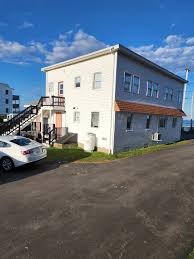 Image result for York University Surf Club