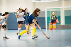 Image result for Indoor Hockey (Casual Use)