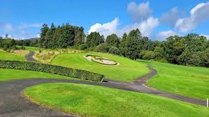 Image result for Carlow Golf Club