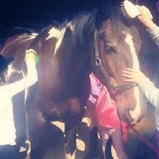 Image result for Cliff Hatch Stables