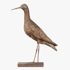 Image result for Numenius borealis