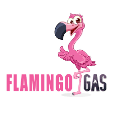 Image result for Flamingo Cricket Club
