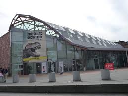 Image result for Coventry Dragons