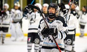 Image result for Haringey Greyhounds Ice Hockey Club