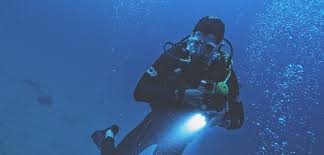 Image result for Eltham and District Sub Aqua Club