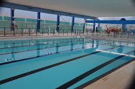Image result for Sedgefield 75 Swimming Club