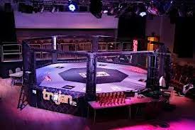 Image result for Cardiff Mma