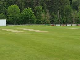 Image result for Bronwydd Cricket Club