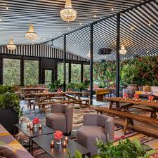 Image result for York Backgammon Club