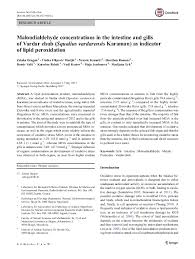 Image result for Squalius vardarensis