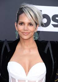 Afbeeldingsresultaat voor halle berry