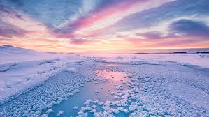 Attēlu rezultāti vaicājumam “Frost Flowers”