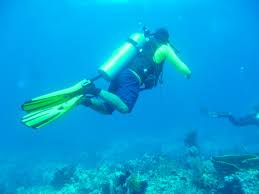 Image result for Leicester Underwater Exploration Club