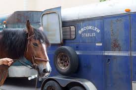 Image result for Carman Stables