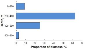 Image result for Arctogadus glacialis
