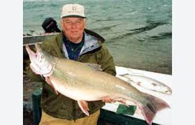 Image result for Salvelinus alpinus