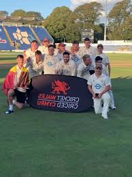 Image result for Pontarddulais Cricket Club