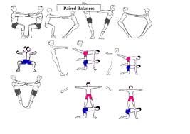 Image result for Sports Acro