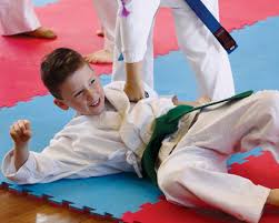 Image result for Welwyn Garden City Judo Club