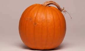 Attēlu rezultāti vaicājumam “Cucurbitaceae”