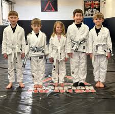 Image result for Scorpion Martial Arts Academy