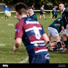 Image result for Widden Old Boys Rfc