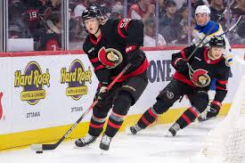 Image result for West Coast Wasps Skater Hockey Club